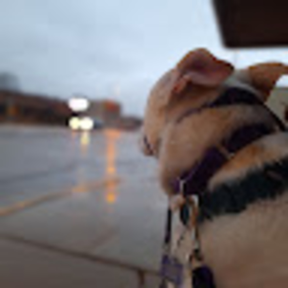 Meet your Posher, Mckenize